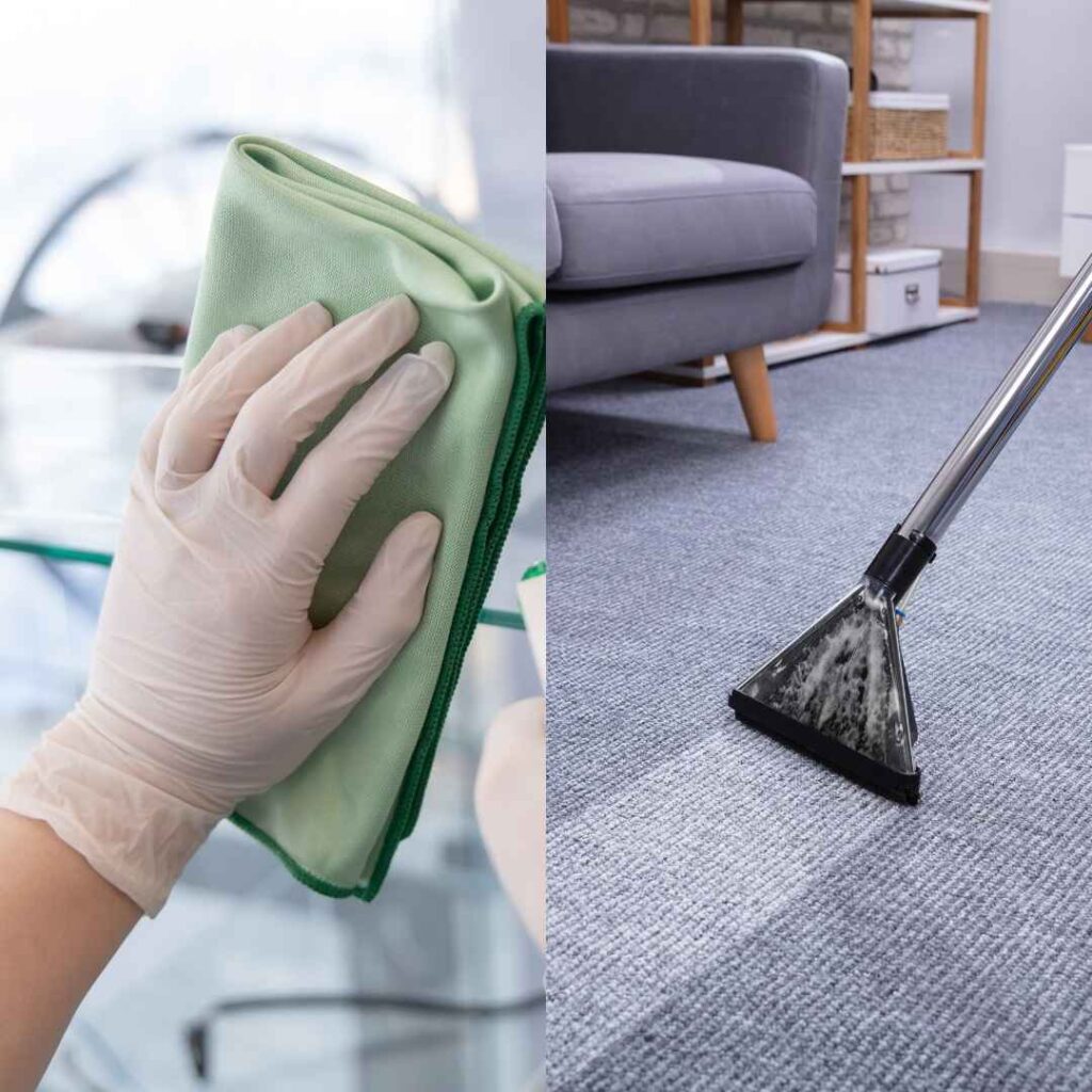 Professional Carpet & window Cleaning Service