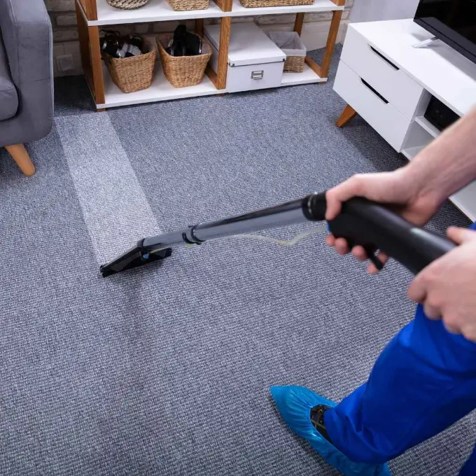 Professional Carpet Cleaning