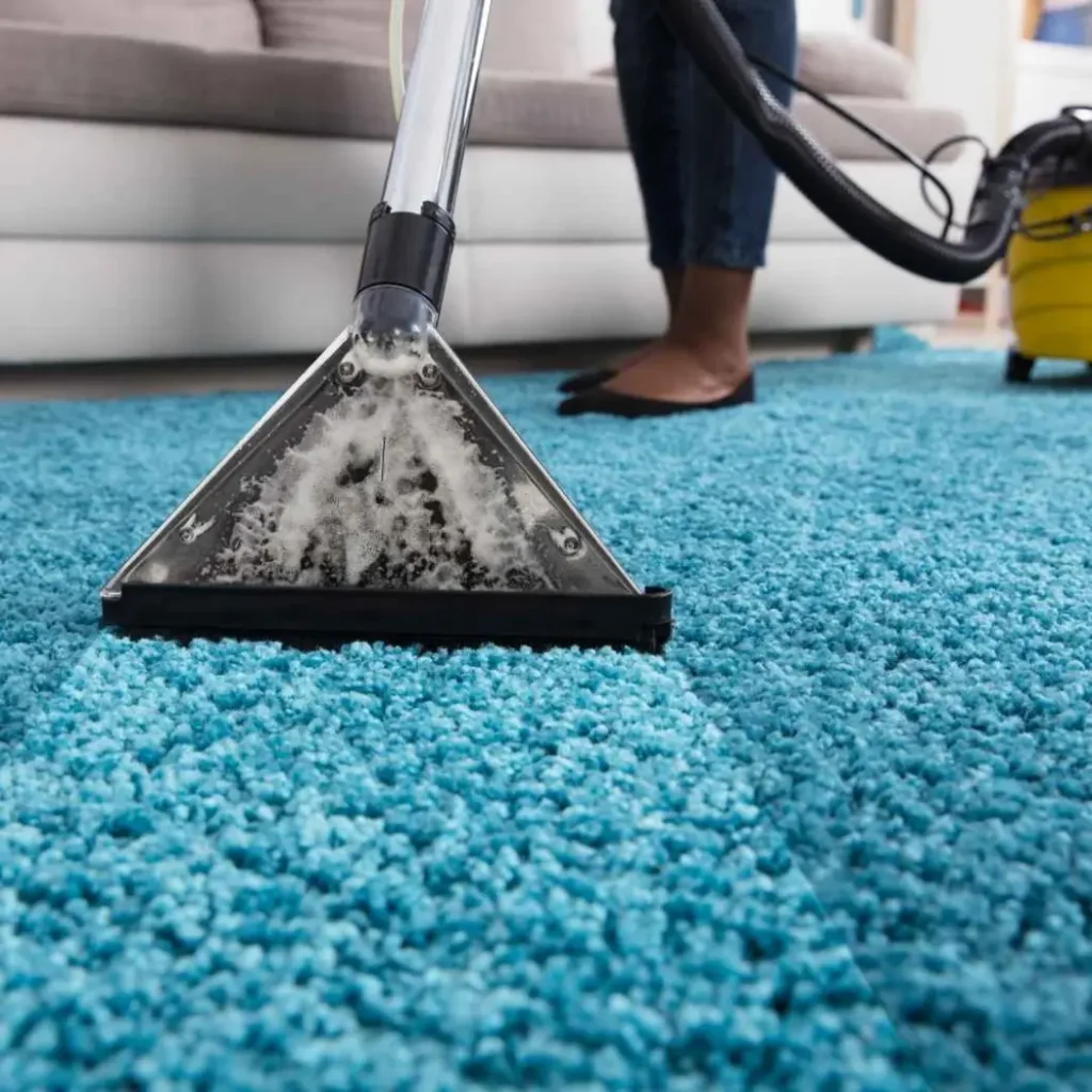 Skilled Carpet Cleaning Service